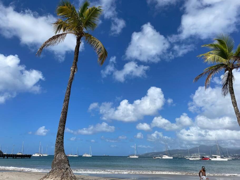 L'Amour A La Plage...Vue Mer Exceptionnelle ! Les Trois-Ilets Eksteriør bilde